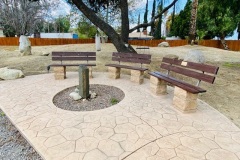 pics_0004_pic31