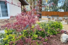 pics_0007_pic32